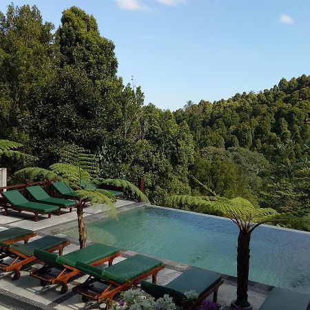 Hotel Bintang Munduk Extérieur photo