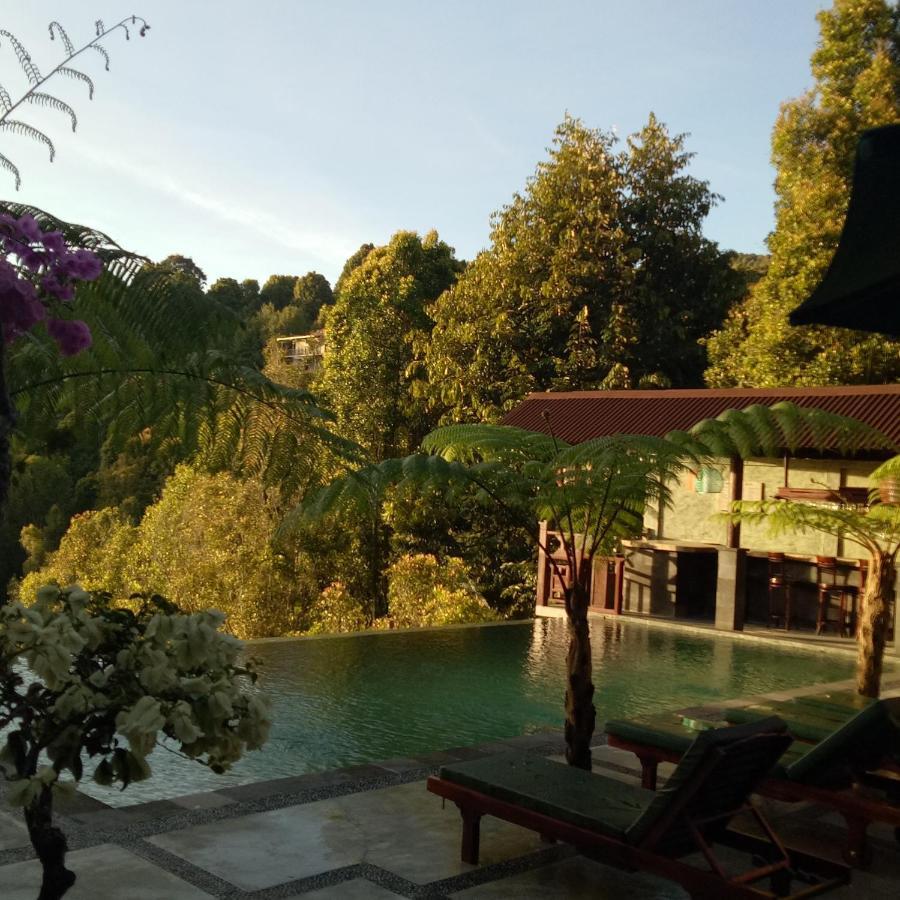Hotel Bintang Munduk Extérieur photo