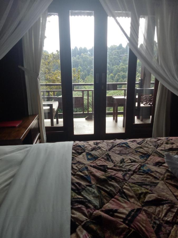 Hotel Bintang Munduk Extérieur photo