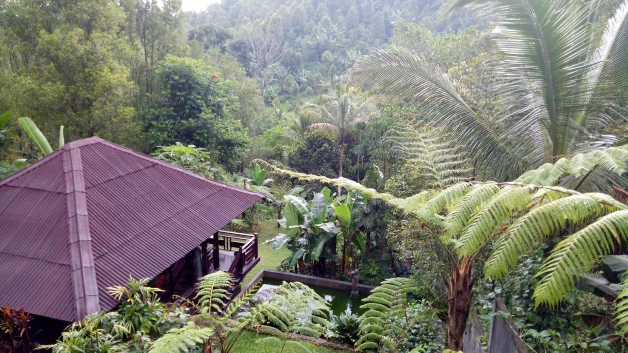 Hotel Bintang Munduk Extérieur photo