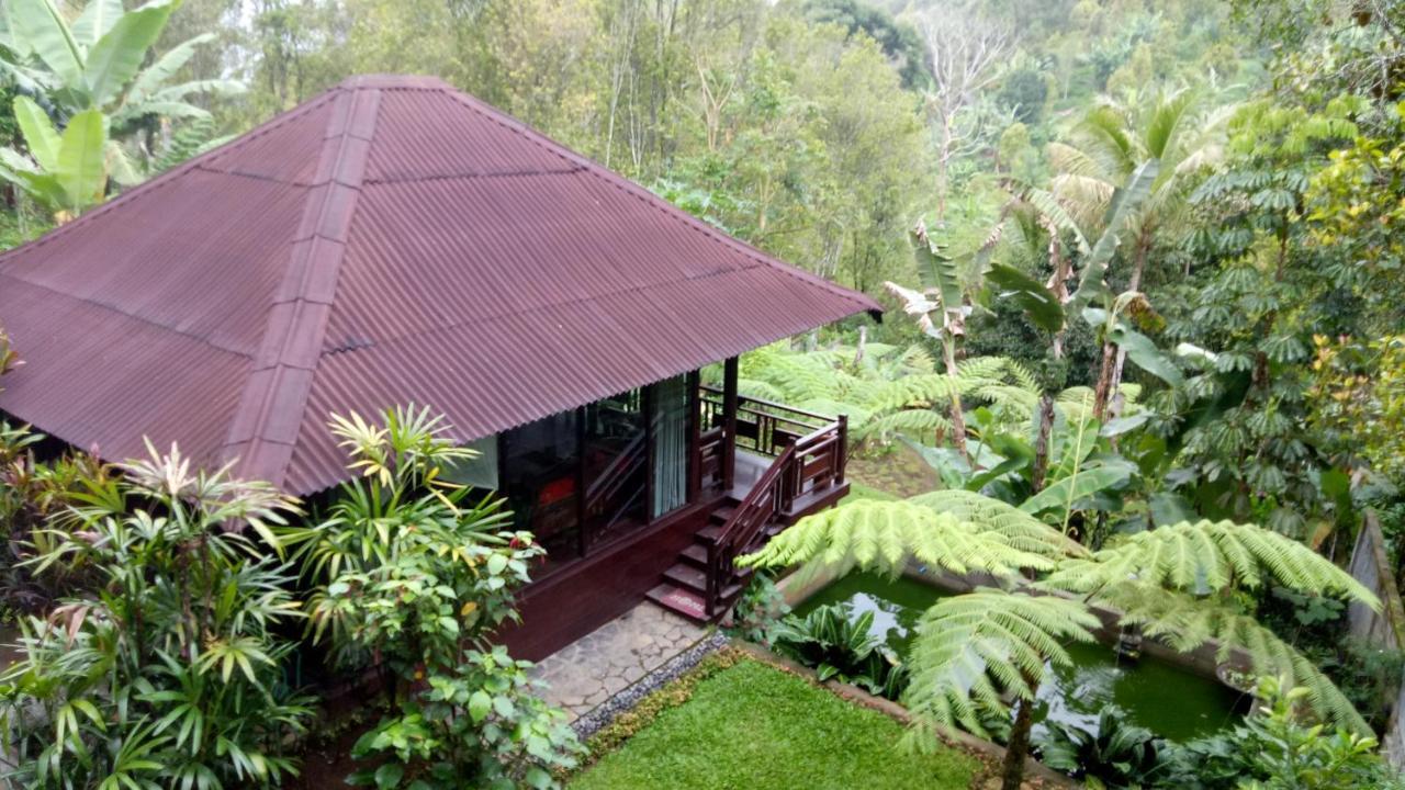 Hotel Bintang Munduk Extérieur photo